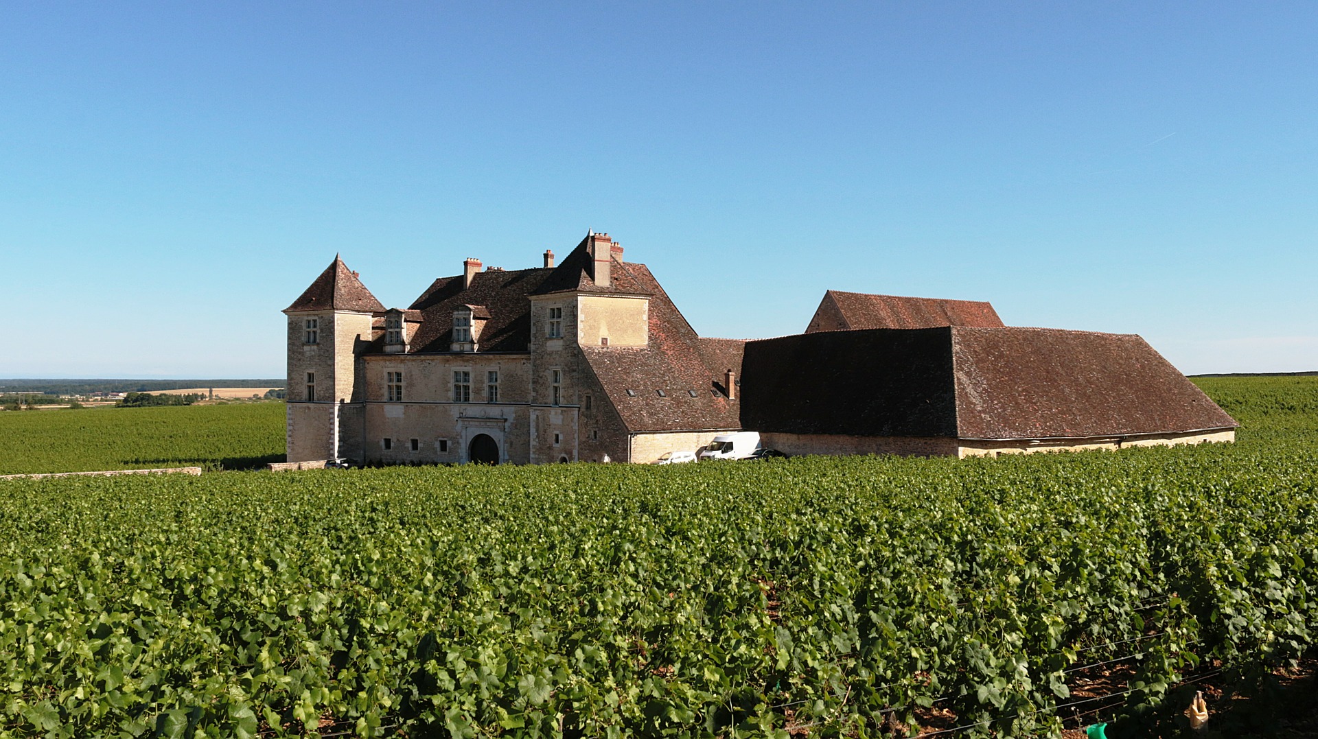 Wunderschönes und toll gelegenes Weingut im Burgund
